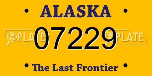 07229 Alaska License Plate