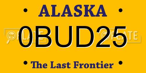 0BUD25 Alaska License Plate