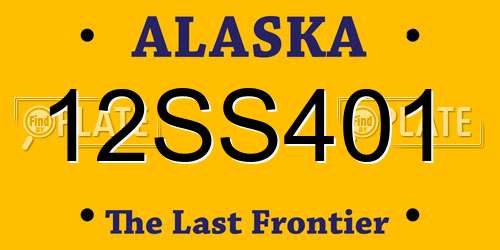 12SS401 Alaska License Plate