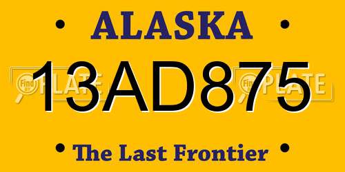 13AD875 Alaska License Plate