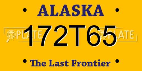 172T65 Alaska License Plate