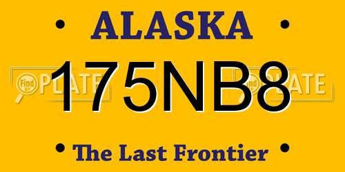 175NB8 Alaska License Plate