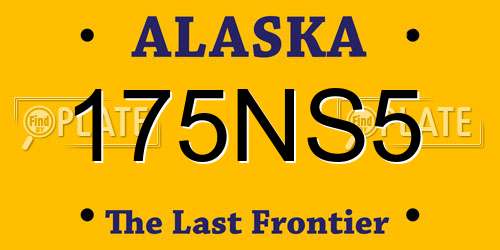 175NS5 Alaska License Plate