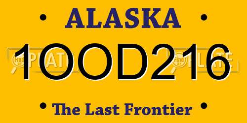 1OOD216 Alaska License Plate