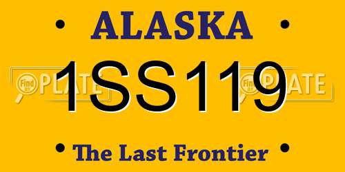 1SS119 Alaska License Plate