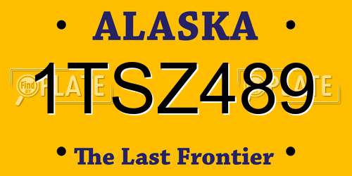 1TSZ489 Alaska License Plate