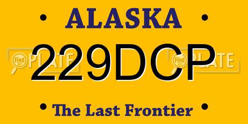 229DCP Alaska License Plate