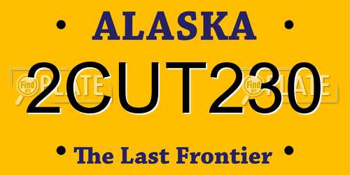 2CUT230 Alaska License Plate