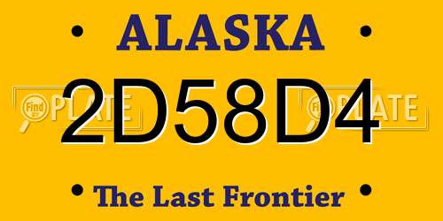 2D58D4 Alaska License Plate