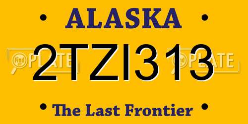 2TZI313 Alaska License Plate