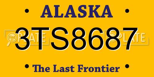 3TS8687 Alaska License Plate