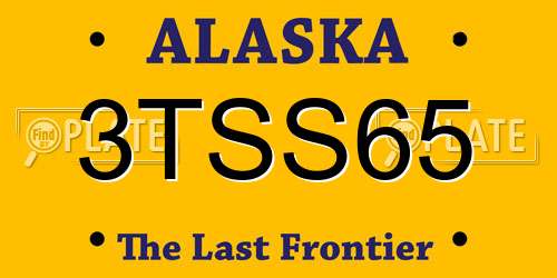 3TSS65 Alaska License Plate