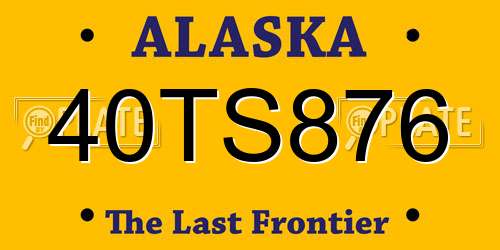 40TS876 Alaska License Plate