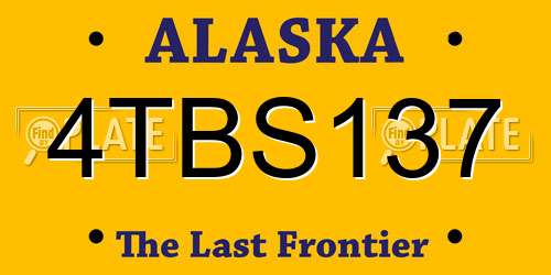 4TBS137 Alaska License Plate