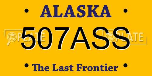 507ASS Alaska License Plate