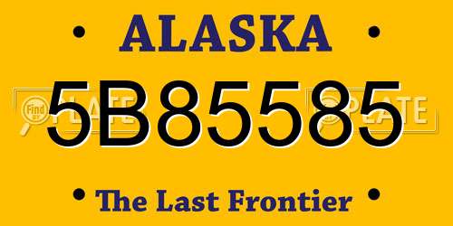 5B85585 Alaska License Plate