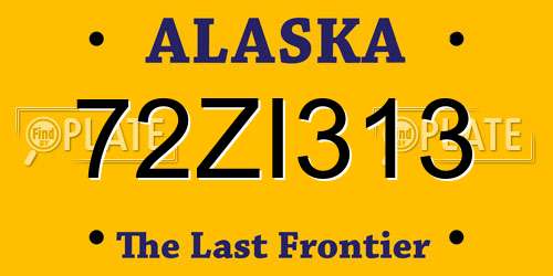 72ZI313 Alaska License Plate