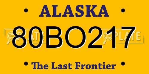 80BO217 Alaska License Plate