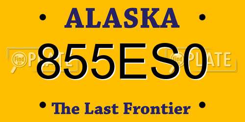 855ES0 Alaska License Plate