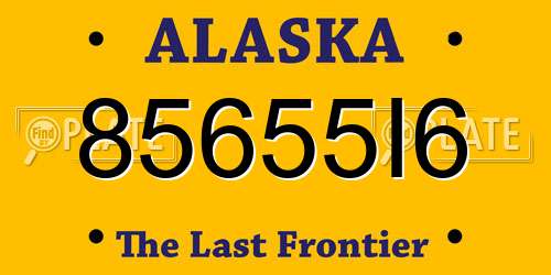 85655I6 Alaska License Plate