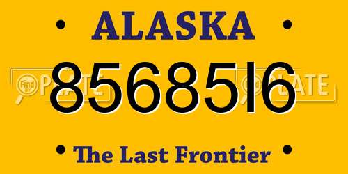 85685I6 Alaska License Plate