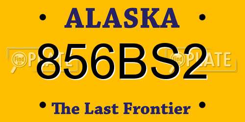856BS2 Alaska License Plate