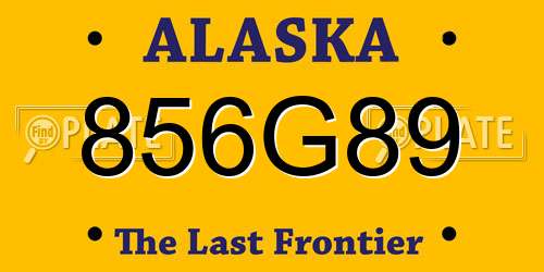 856G89 Alaska License Plate