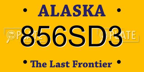 856SD3 Alaska License Plate