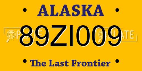 89ZI009 Alaska License Plate