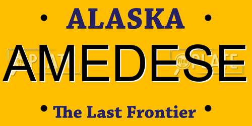 AMEDESE Alaska License Plate