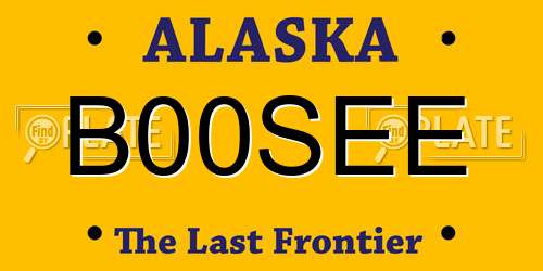 B00SEE Alaska License Plate