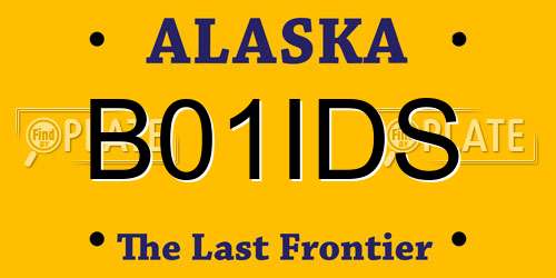 B01IDS Alaska License Plate