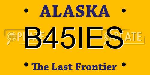B45IES Alaska License Plate