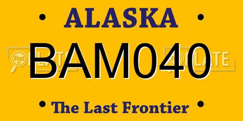 BAM040 Alaska License Plate