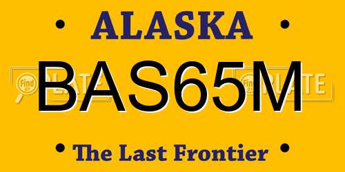 BAS65M Alaska License Plate