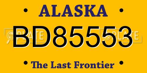 BD85553 Alaska License Plate