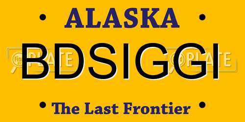 BDSIGGI Alaska License Plate