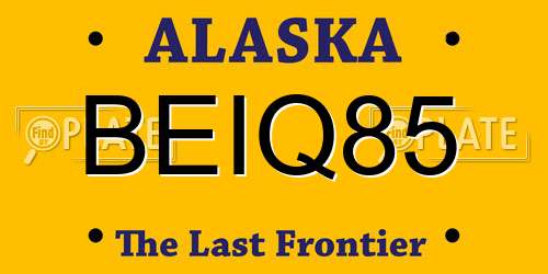 BEIQ85 Alaska License Plate