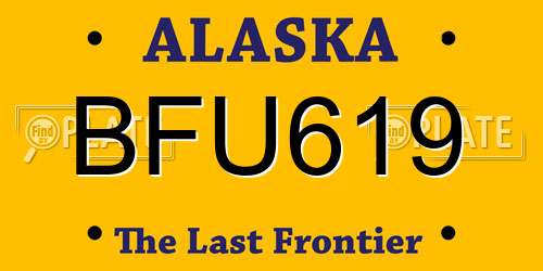BFU619 Alaska License Plate