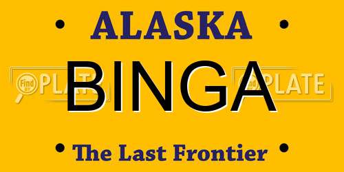 BINGA Alaska License Plate