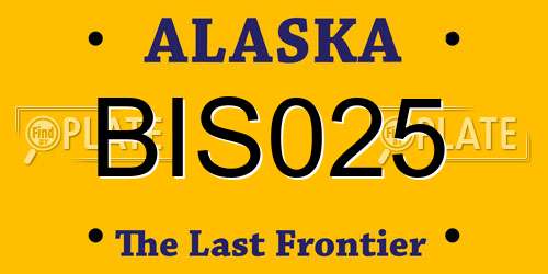 BIS025 Alaska License Plate