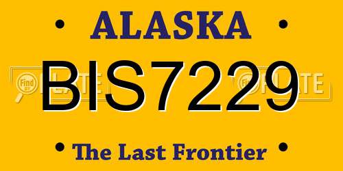 BIS7229 Alaska License Plate