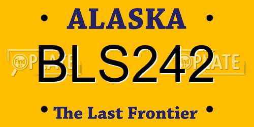 BLS242 Alaska License Plate