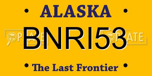 BNRI53 Alaska License Plate