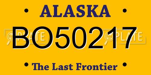 BO50217 Alaska License Plate