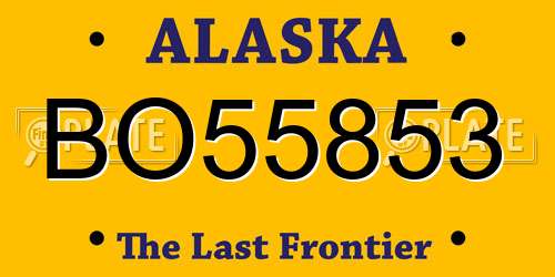 BO55853 Alaska License Plate