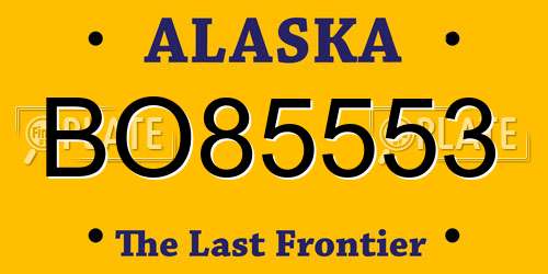 BO85553 Alaska License Plate