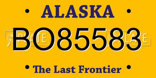 BO85583 Alaska License Plate