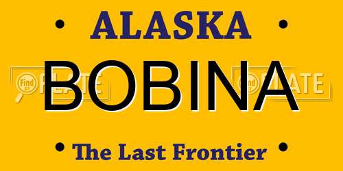 BOBINA Alaska License Plate
