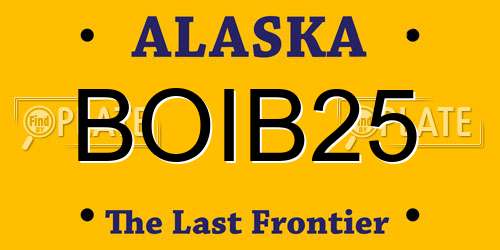 BOIB25 Alaska License Plate